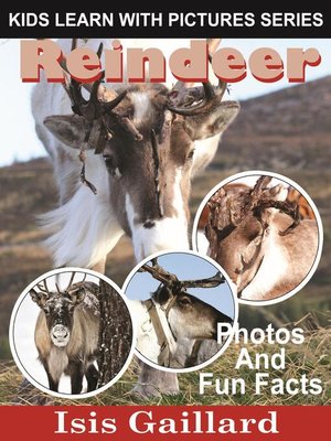 cover image of Reindeer